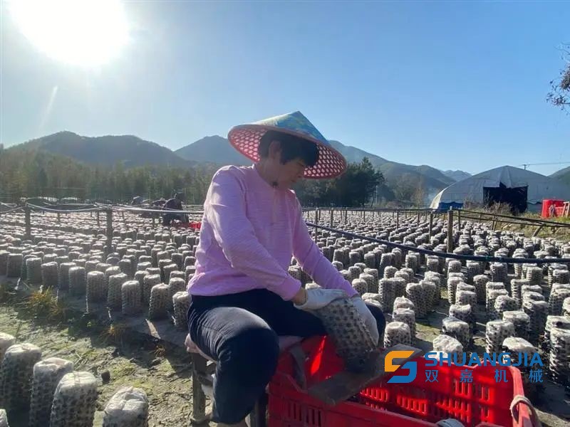 1648437333182338.jpg 10-00-01-67-283825.jpg