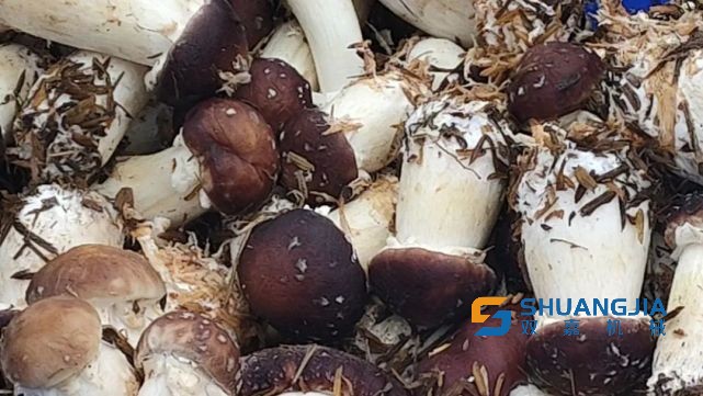 1648688544509472.jpg 15-53-43-23-283825.jpg