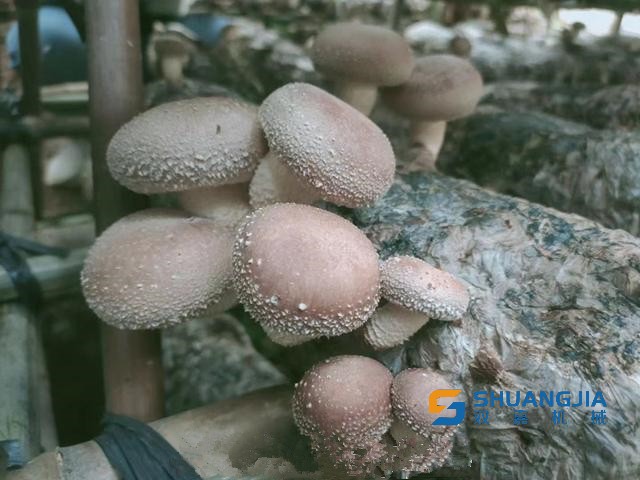 1648779791513934.jpg 09-27-14-30-283825.jpg