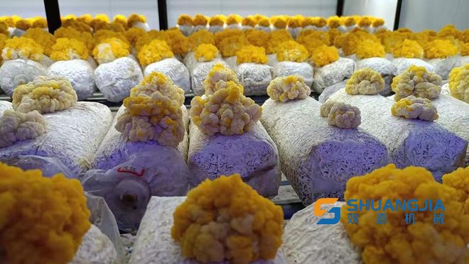 1649299066112240.jpg 15-30-22-29-283825.jpg