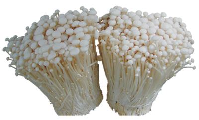 1649553106574752.jpeg 83295441651c7406c7a1144ac43adde7.jpeg