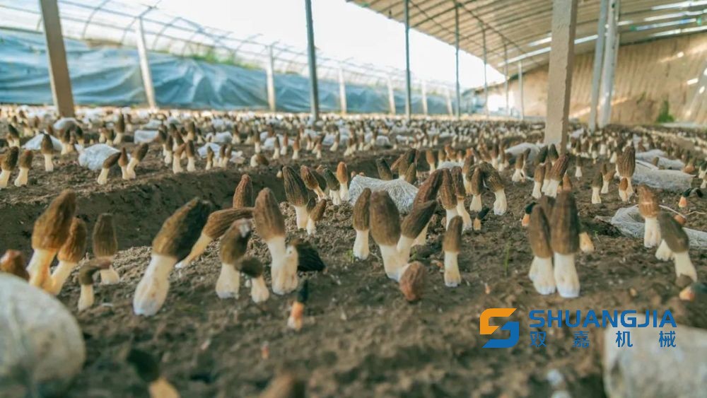 1649988829507082.jpg 14-30-33-91-283825.jpg