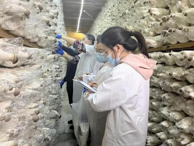 1649989128165729.jpeg 08-42-19-72-283825.jpeg