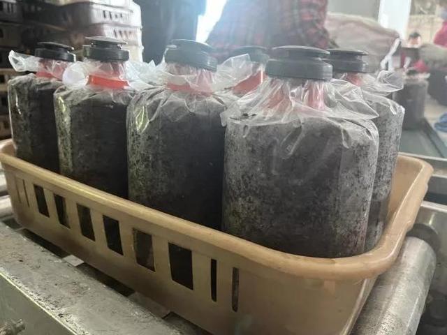 1649989154163875.jpeg 08-42-33-64-283825.jpeg