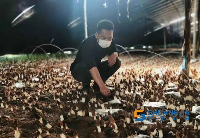 1649989538116647.jpg 09-25-08-70-283825.jpg