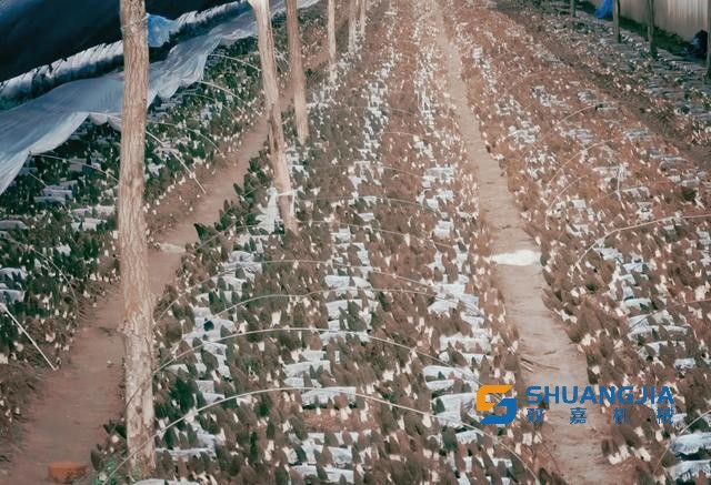 1649989567145793.jpg 09-26-03-87-283825.jpg