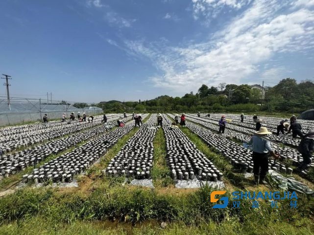 1650083044901823.jpg 10-56-09-76-283825.jpg