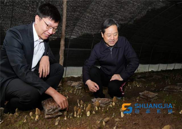 1650417657169966.png 11-39-11-71-283825.png