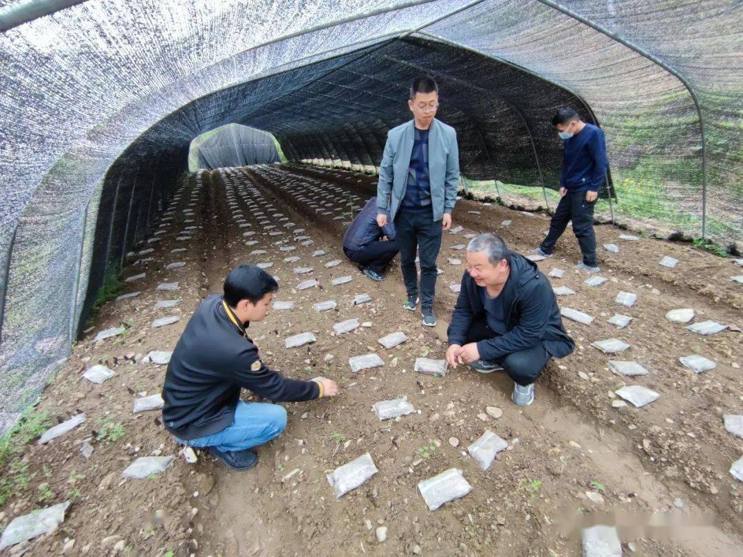 1650504466102780.jpeg 14-59-39-62-283825.jpeg