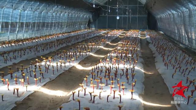 1651028458111065.jpeg 09-39-48-88-283825 (1).jpeg