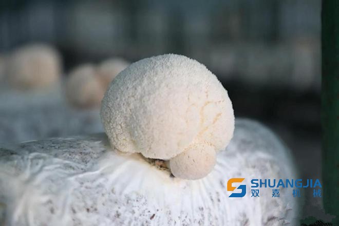 1651294322947727.jpg 08-48-11-81-283825.jpg