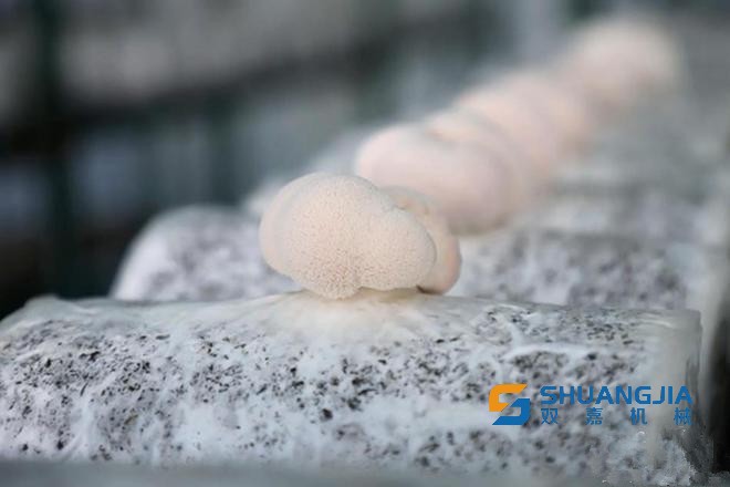 1651294345203611.jpg 08-48-40-83-283825.jpg