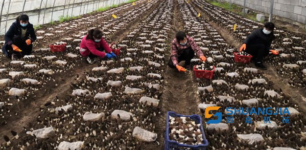 1651458436555644.png 10-39-54-21-283825.png