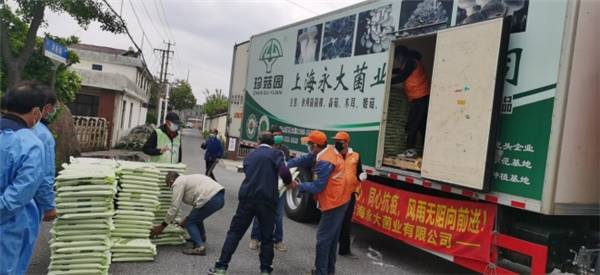 1651541285130082.jpeg c538b84a1d984059b8483784bbc4eb6a.jpeg