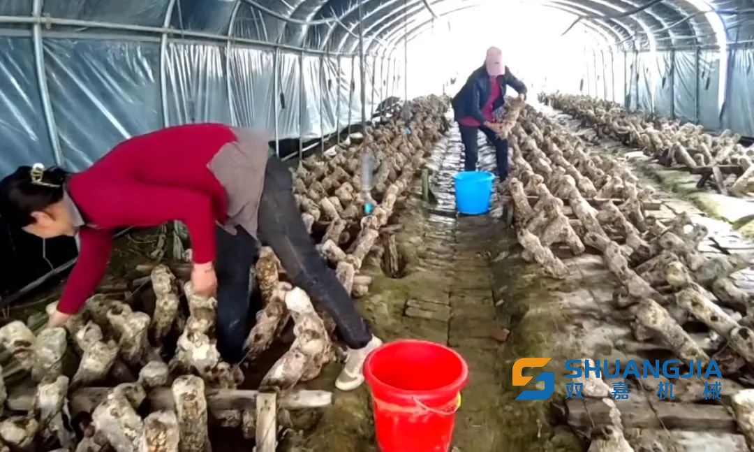 1651802524197426.jpg 09-08-45-29-283825.jpg