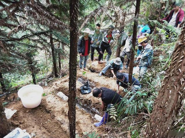 1651886203596434.jpeg 10-47-22-89-283825.jpeg