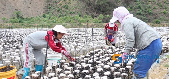 1651970277209206.jpg 09-52-48-48-283825.jpg