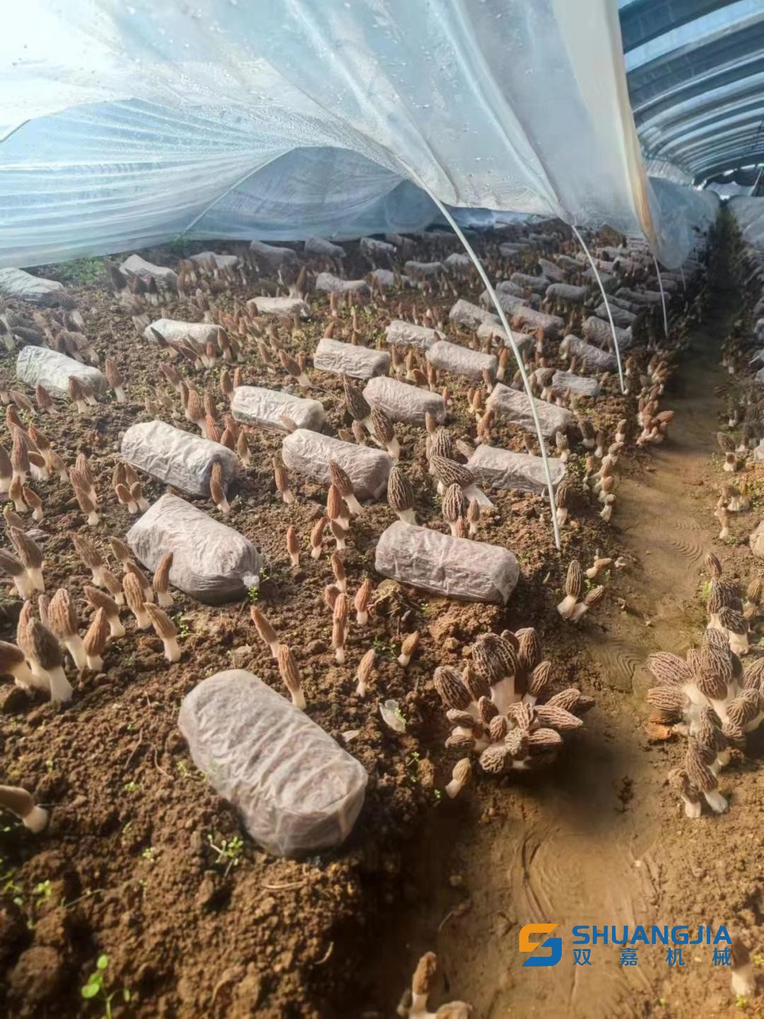 1652492682198408.jpg 15-58-21-18-283825.jpg