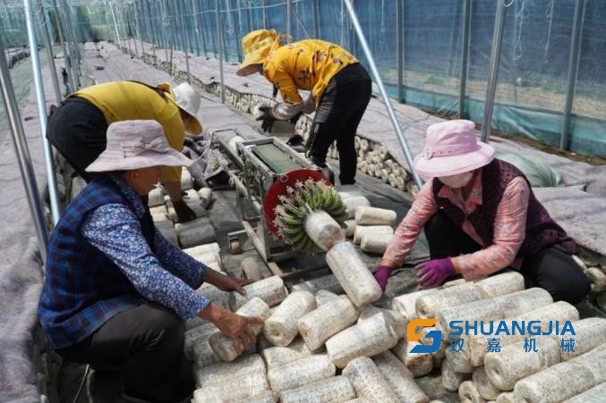 1653099555242297.jpg 553.jpg