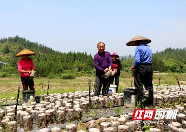 1653186198111487.jpeg 12-46-29-85-283825.jpeg