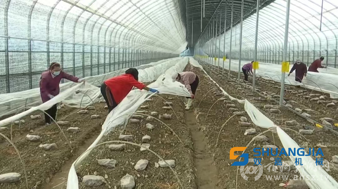 1653292843113332.png 10-50-06-42-283825.png