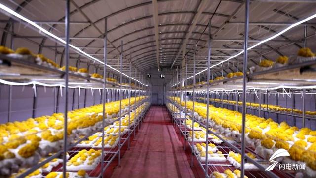 1653622662198182.jpeg 08f790529822720ef77511fa61076e4cf31fab4a.jpeg