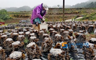 1653970885112596.jpg WIRELESS20220531082200024RBJZ859GRR.jpg