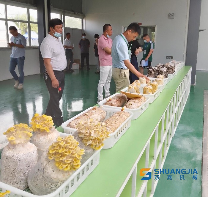 1654562252737128.jpg s_ab8bbde1301f48e691e45cbc7429a565.jpg