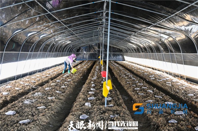 1654562531249102.jpg 641 (1).jpg