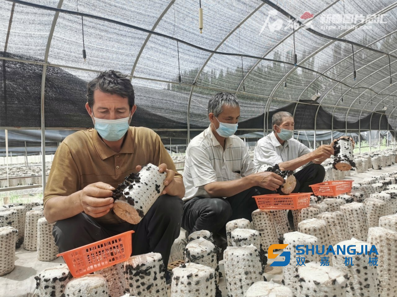 1655007628351019.png 13-48-44-17-283825.png