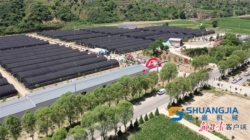 1655428346983022.jpg 14-11-25-39-283825.jpg