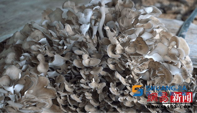 1655517928155363.png 14-55-48-26-283825.png