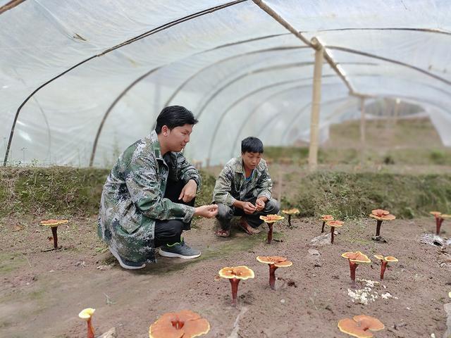 1655681962185616.jpeg 15-24-54-63-283825.jpeg