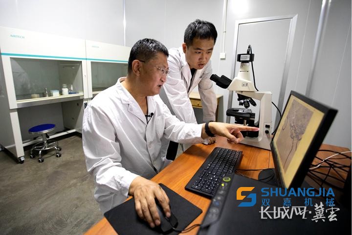 1655800809141472.png 10-06-10-78-283825.png