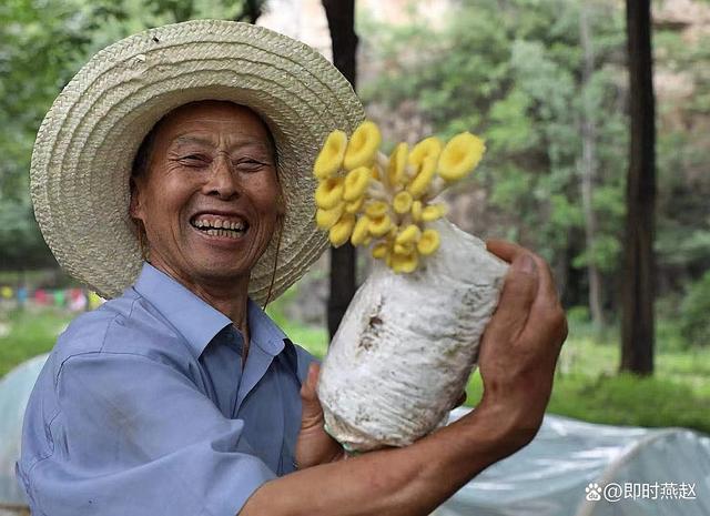 1656378022198349.jpeg 11-49-44-83-283825.jpeg