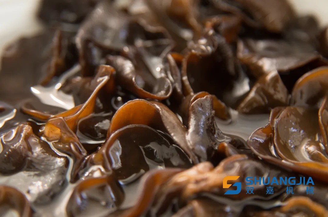 1656466167132788.jpg 09-49-46-55-283825.jpg