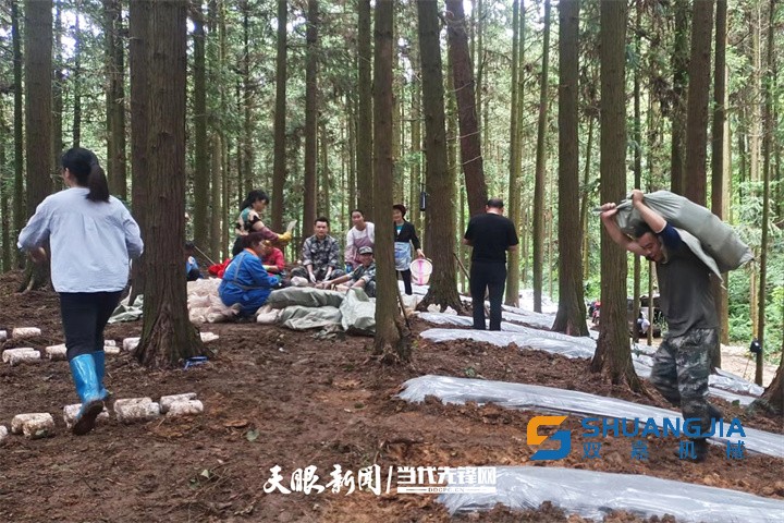 1656466306454950.jpg 10-16-15-43-283825.jpg