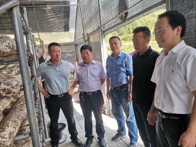 1656553724250238.jpeg 08-50-06-19-283825.jpeg