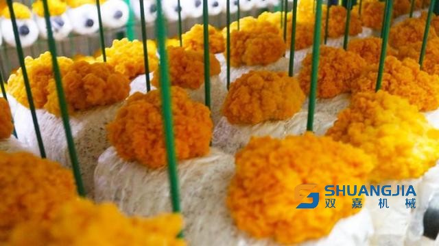 1656638160141216.jpg 16-37-39-64-283825 (1).jpg