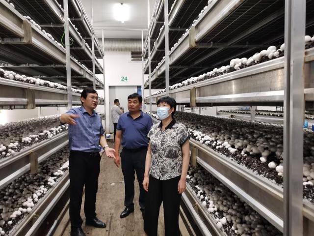 1656638293129345.jpeg 08-47-15-12-283825.jpeg