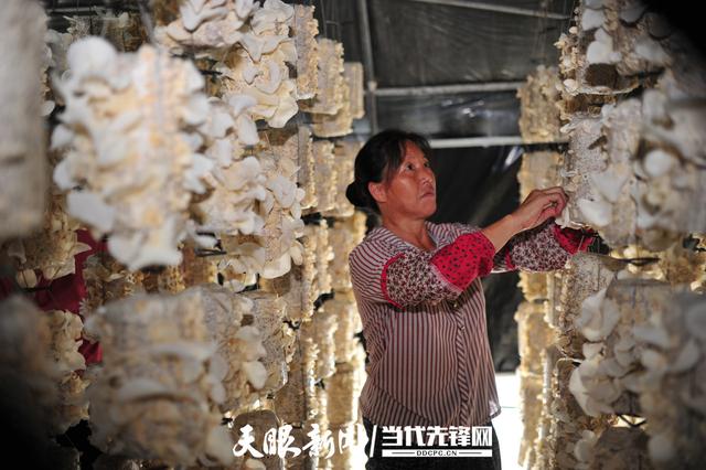 1656728803963562.jpeg 10-04-07-93-283825.jpeg