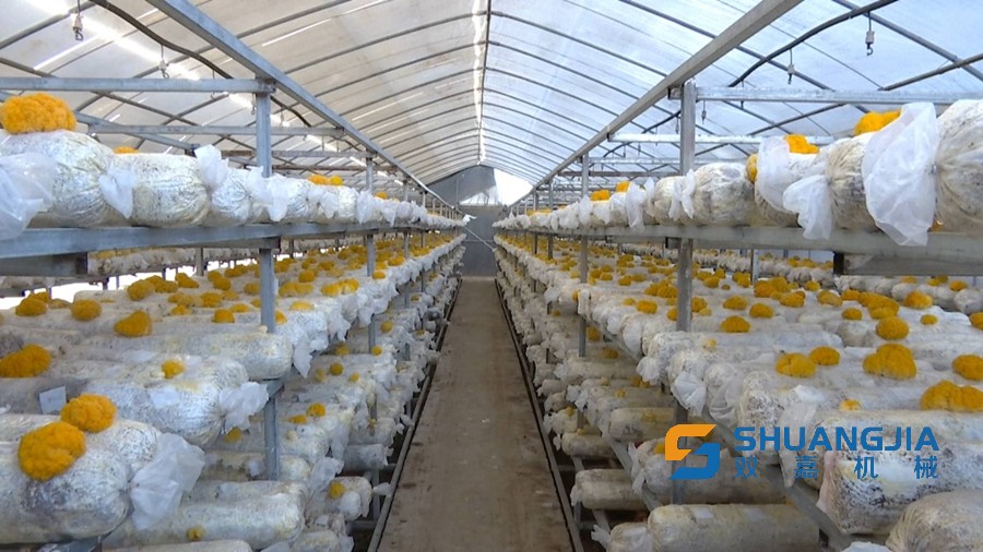 1657509430155139.jpg 21-21-27-83-283825.jpg