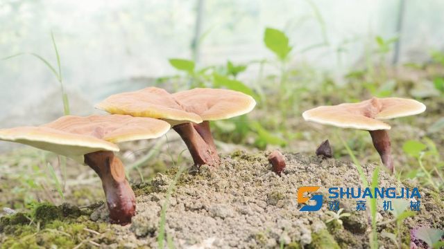 1657509541559045.png 11-07-43-66-283825.png