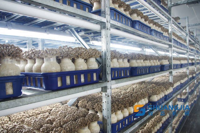 1658112297100564.jpg 08-58-11-19-283825.jpg