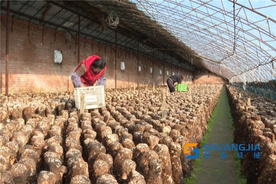 1658367604566115.jpg 13-53-56-52-283825.jpg