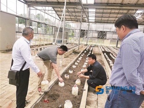 1658973832173319.jpg 12-02-08-99-283825.jpg