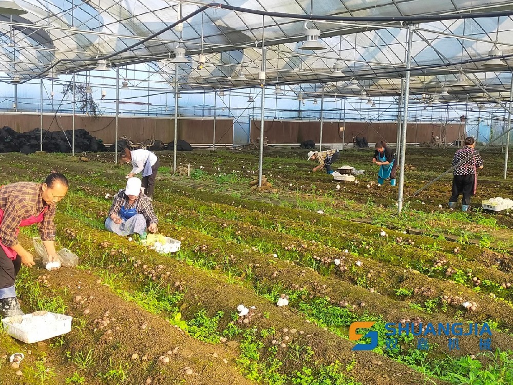 1659495467125924.jpg 11-51-35-60-283825.jpg