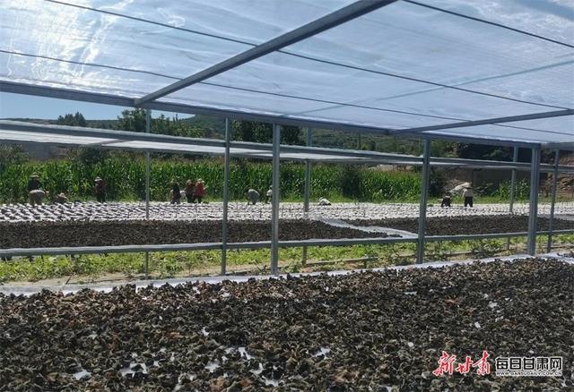 1660271061214359.jpeg 14-12-49-33-283825.jpeg