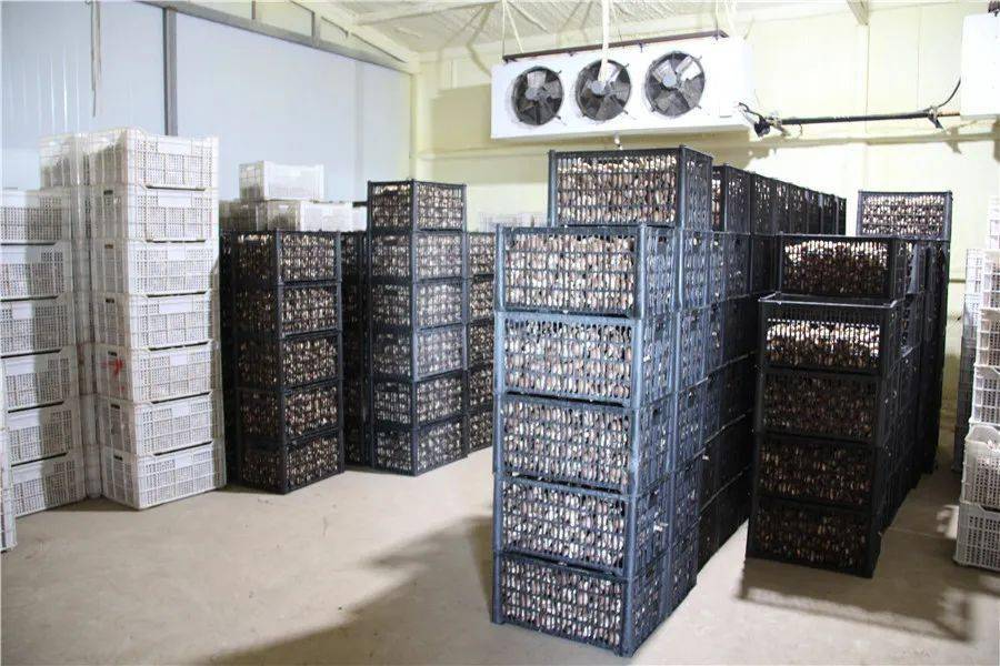 1660792247409919.jpeg 14-53-49-58-283825.jpeg