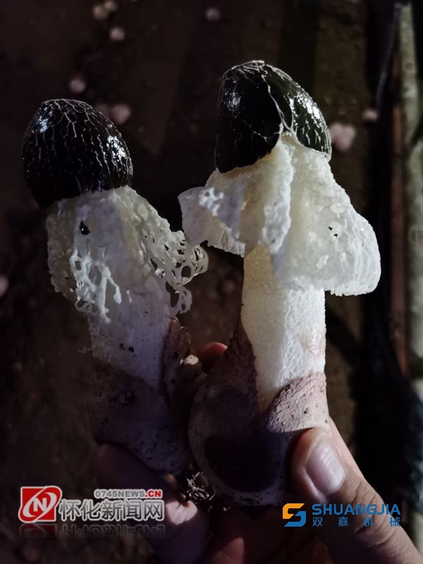 1661309412349191.jpg 09-52-34-95-283825.jpg